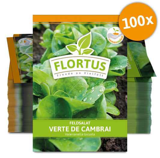  Feldsalat Verte De Cambrai (100 Stück)