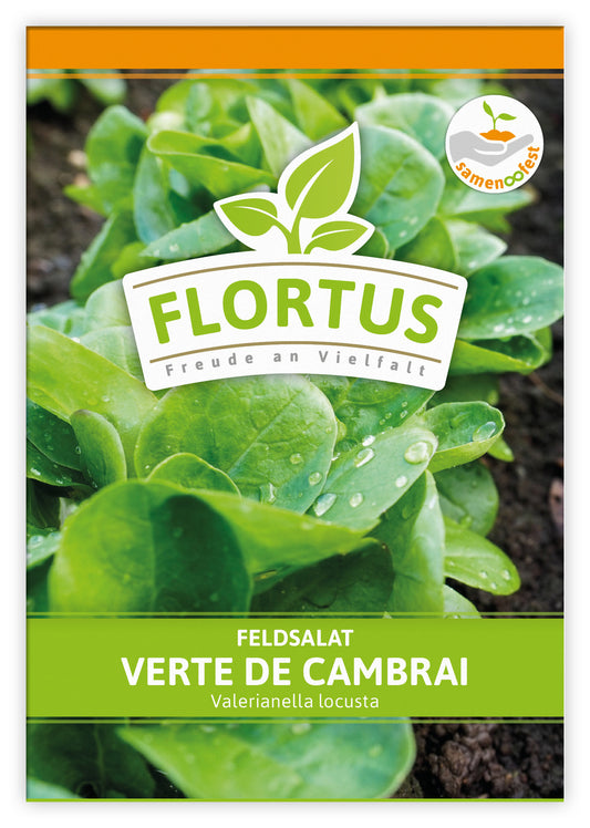  Feldsalat Verte De Cambrai (100 Stück)