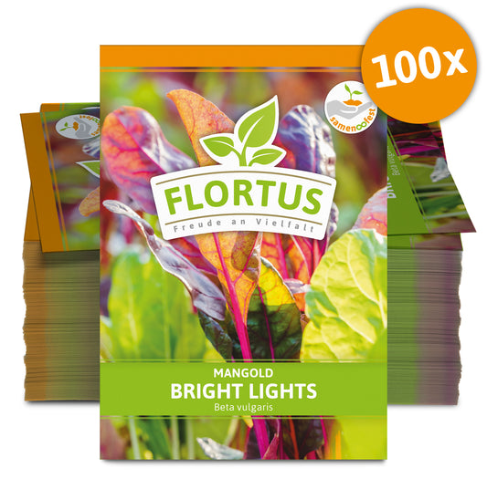  Mangold Bright Lights (100 Stück)