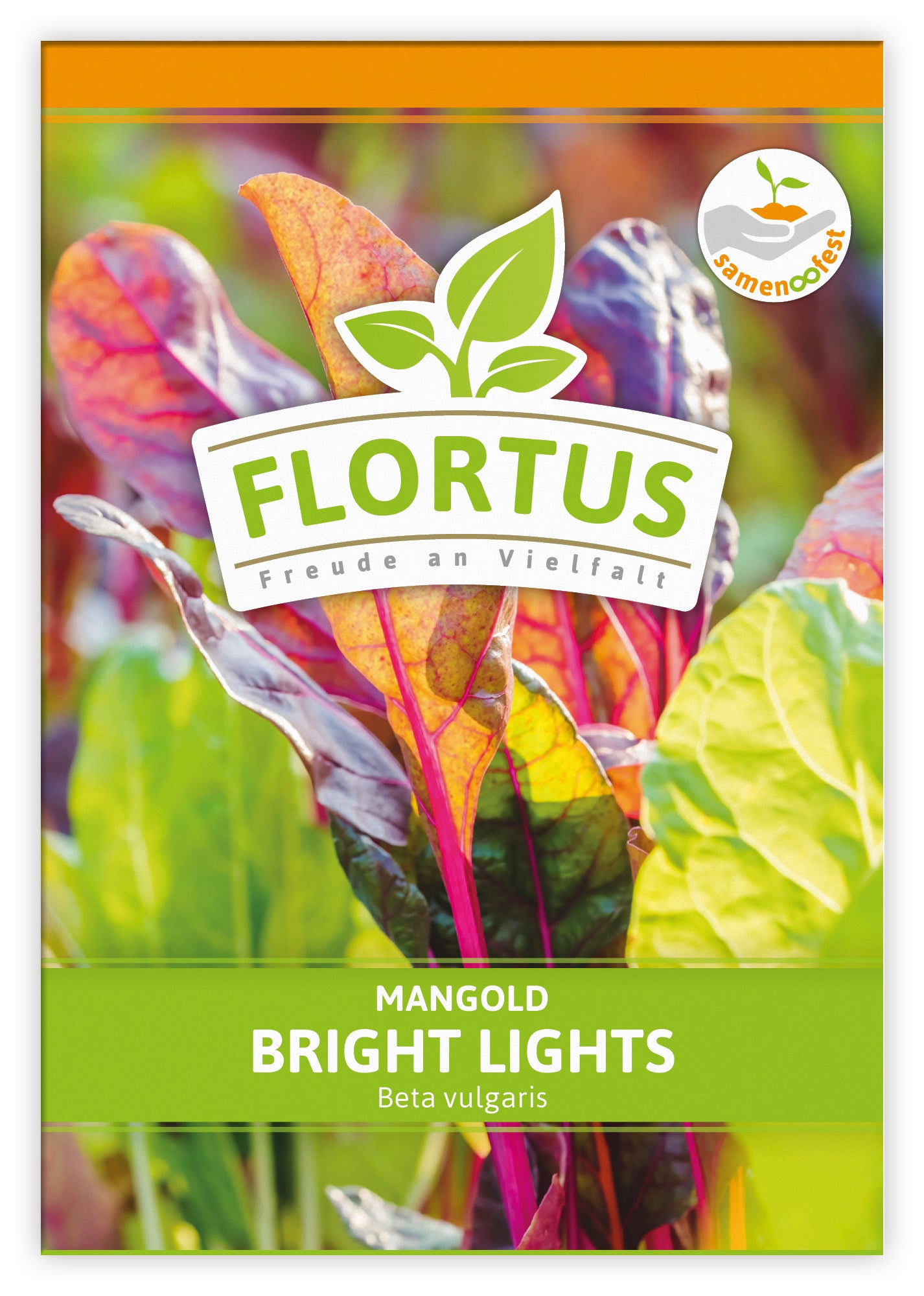  Mangold Bright Lights (100 Stück)