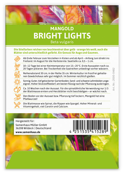  Mangold Bright Lights (100 Stück)