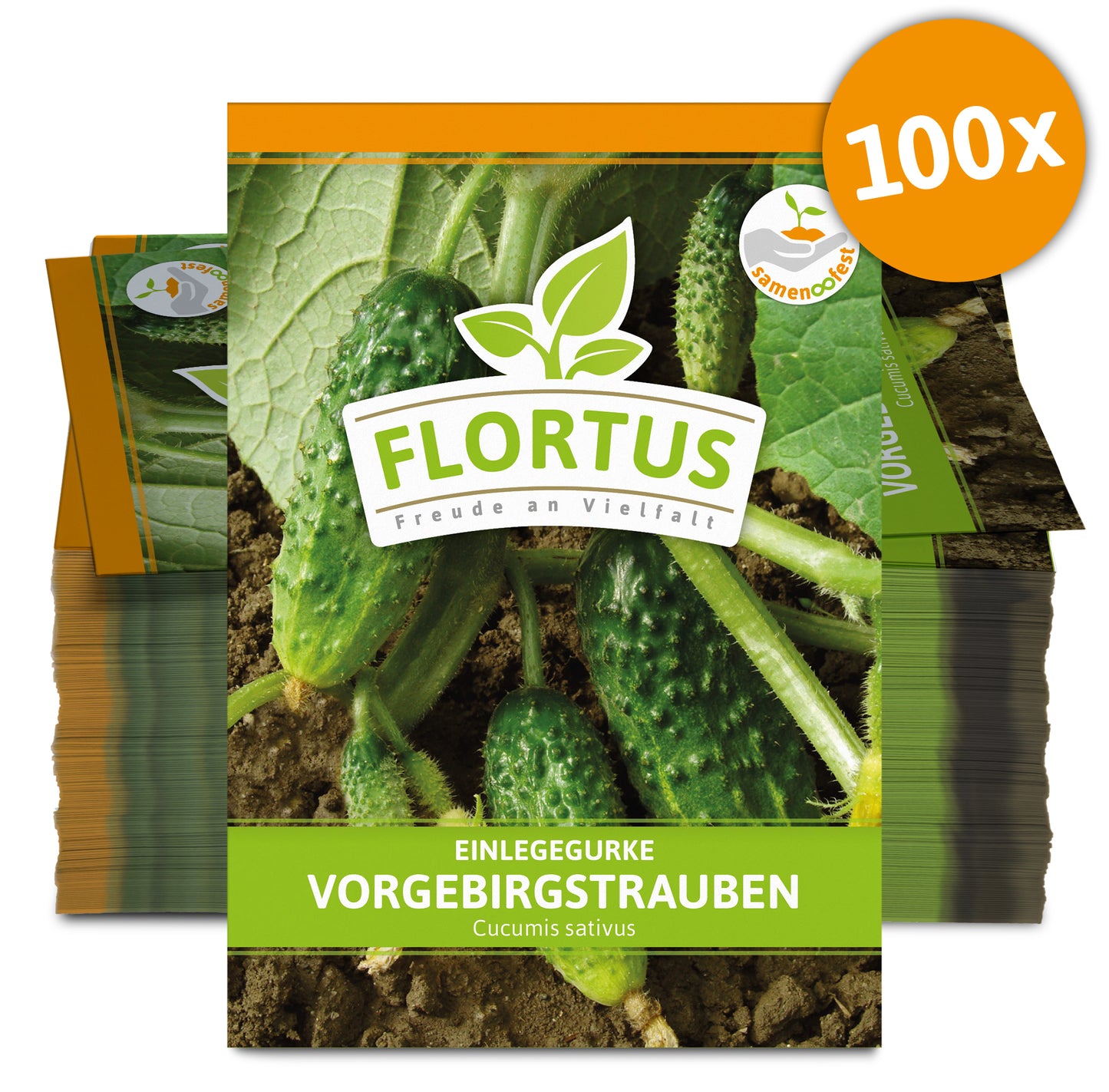  Einlegegurke Vorgebirgstrauben (100 Stück)
