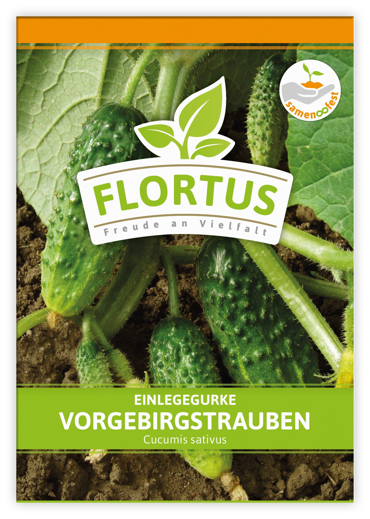  Einlegegurke Vorgebirgstrauben (100 Stück)