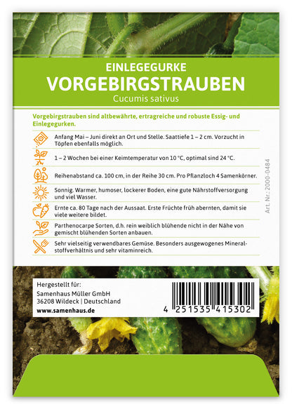  Einlegegurke Vorgebirgstrauben (100 Stück)