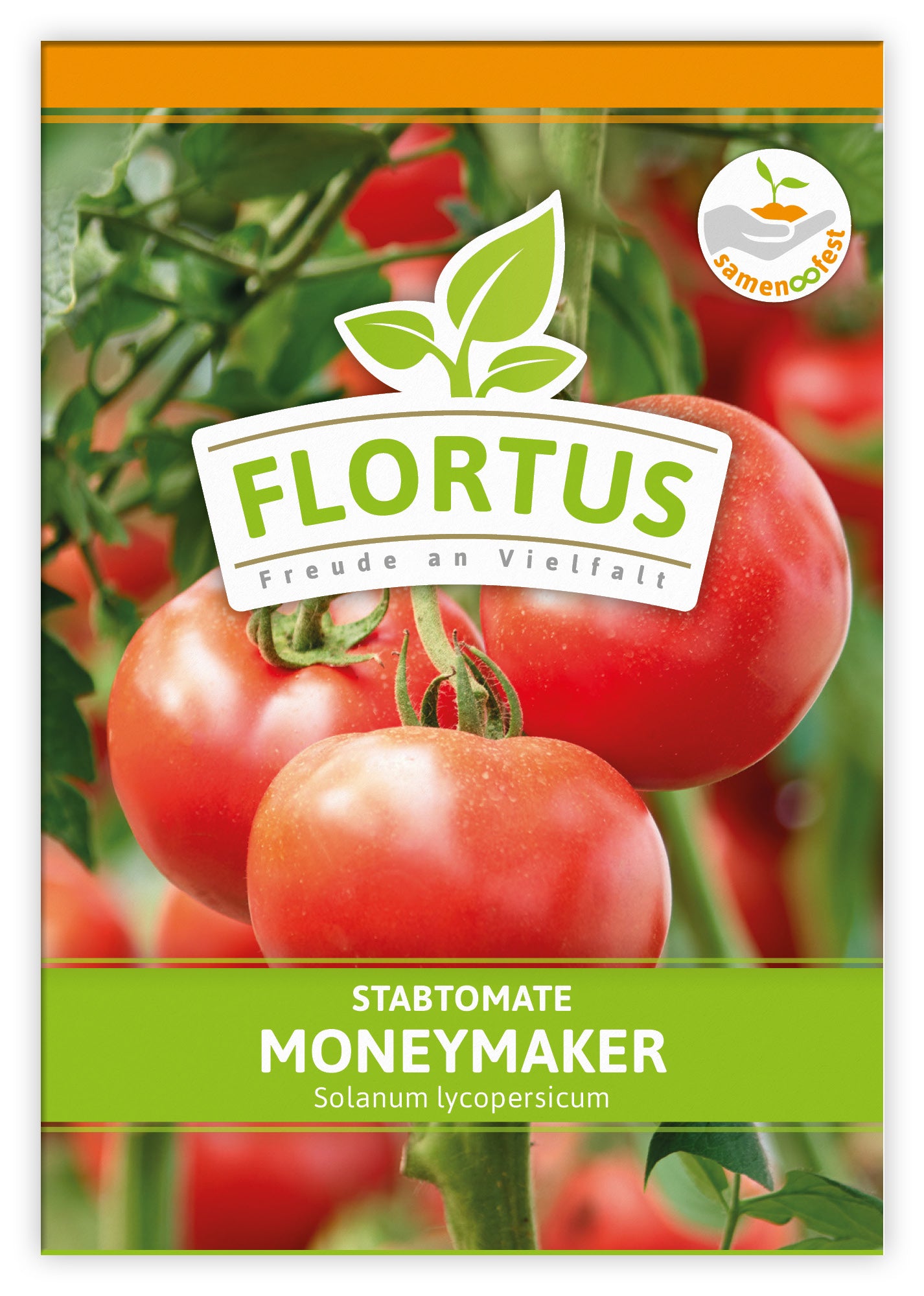  Tomate Moneymaker (100 Stück)