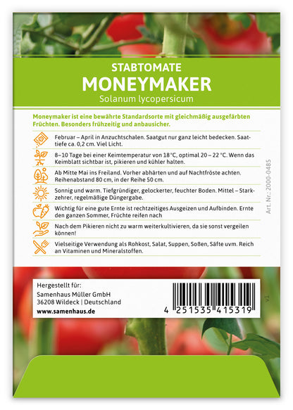  Tomate Moneymaker (100 Stück)