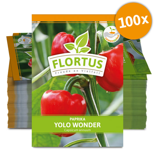  Paprika Yolo Wonder (100 Stück)
