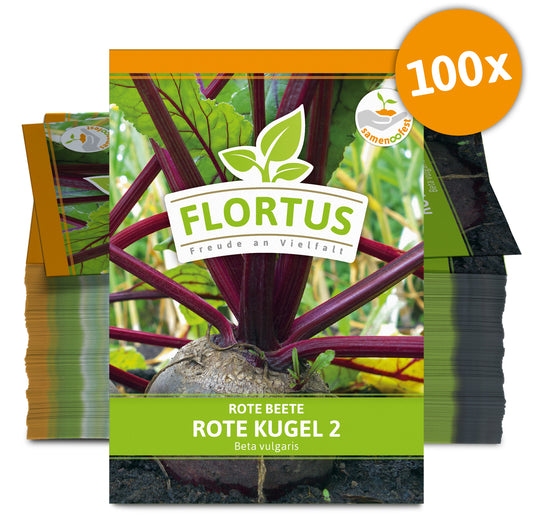  Rote Beete Rote Kugel 2 (100 Stück)