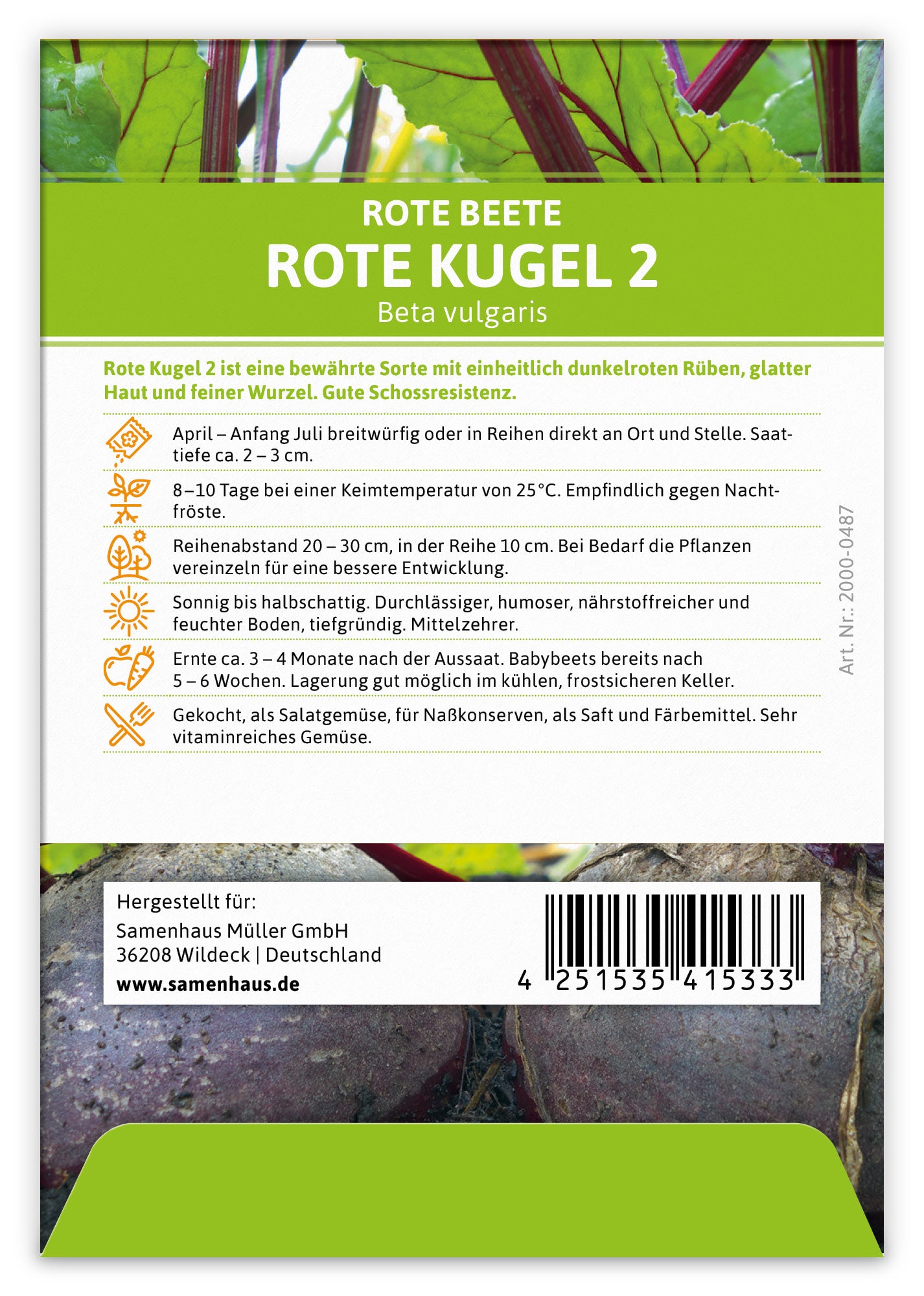  Rote Beete Rote Kugel 2 (100 Stück)