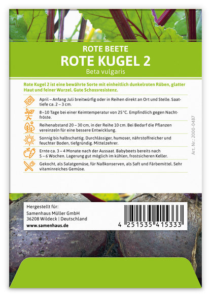  Rote Beete Rote Kugel 2 (100 Stück)