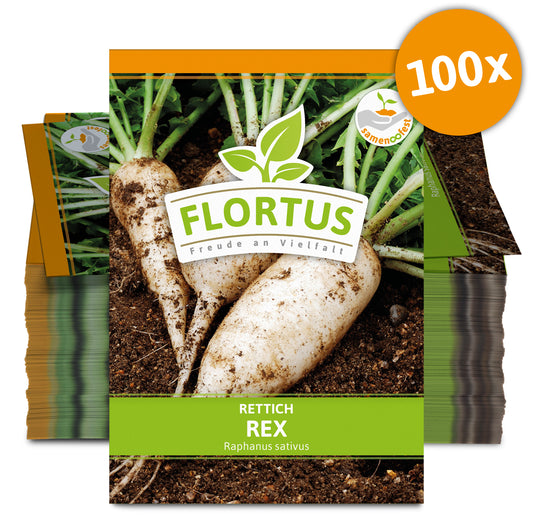  Rettich Rex (100 Stück)