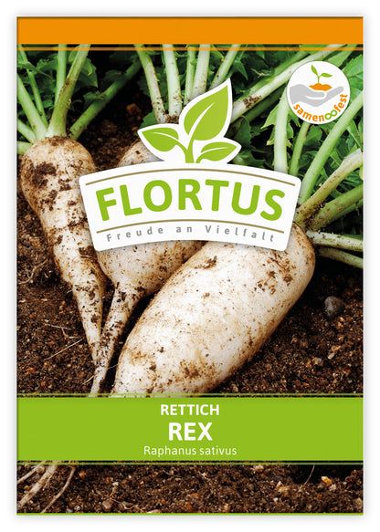  Rettich Rex (100 Stück)
