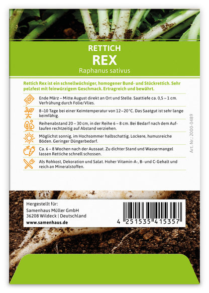  Rettich Rex (100 Stück)