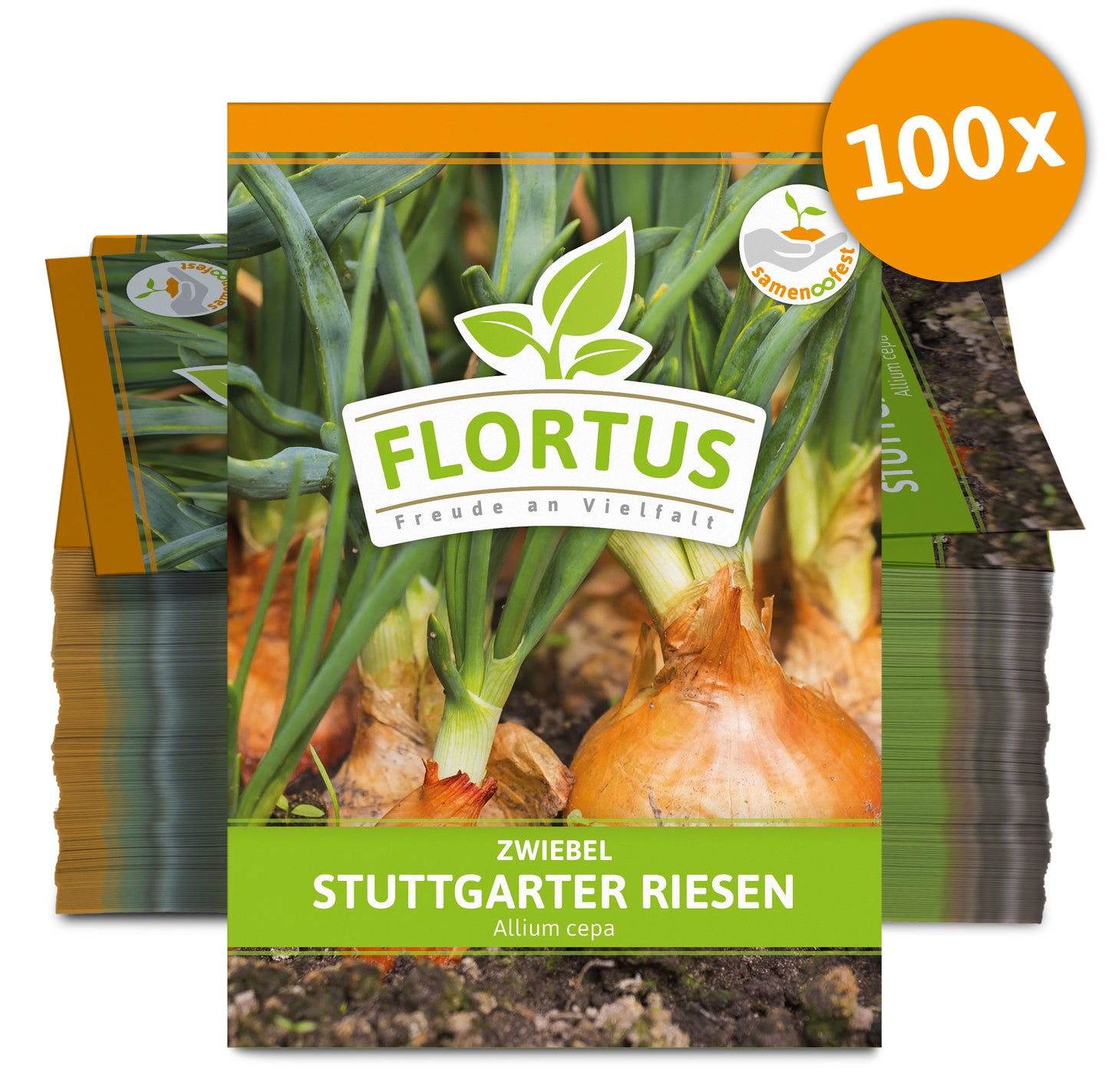 Zwiebel Stuttgarter Riesen (100 Stück)