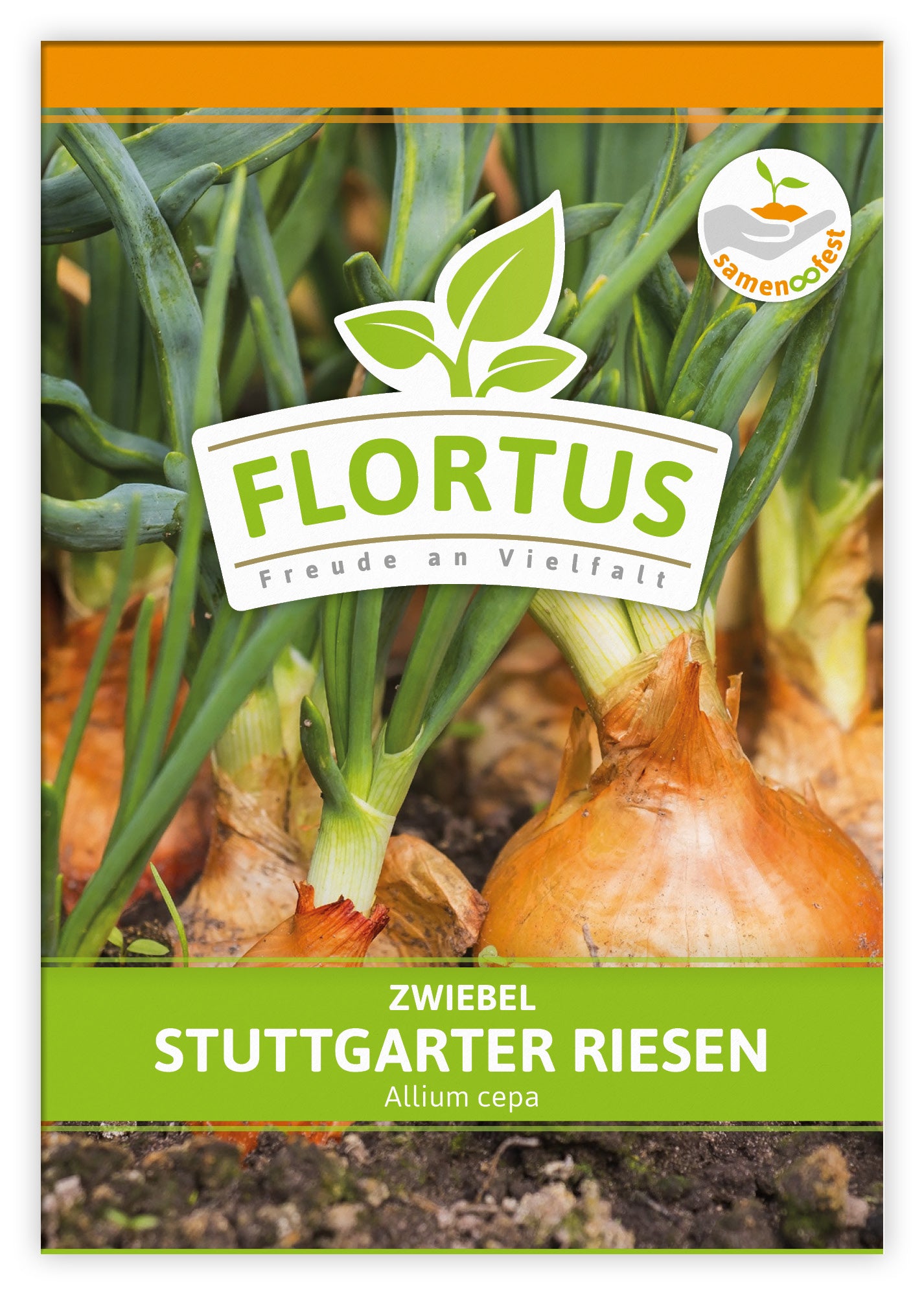  Zwiebel Stuttgarter Riesen (100 Stück)