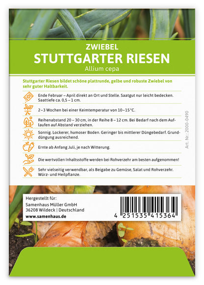 Zwiebel Stuttgarter Riesen (100 Stück)