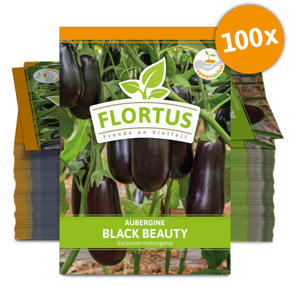  Aubergine Black Beauty (100 Stück)