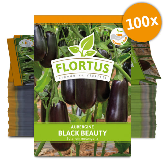  Aubergine Black Beauty (100 Stück)