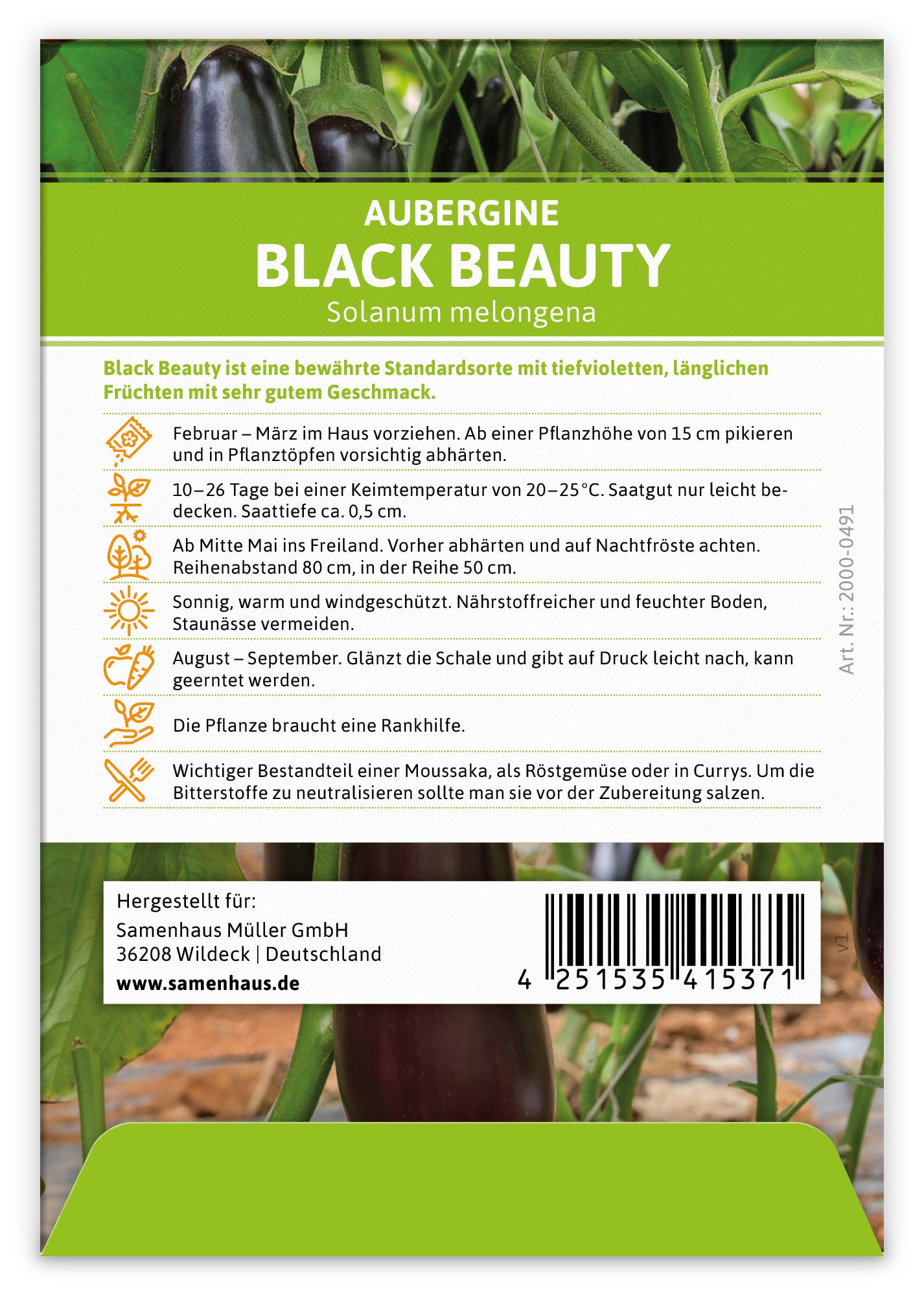  Aubergine Black Beauty (100 Stück)