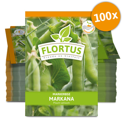  Markerbse Markana (100 Stück)