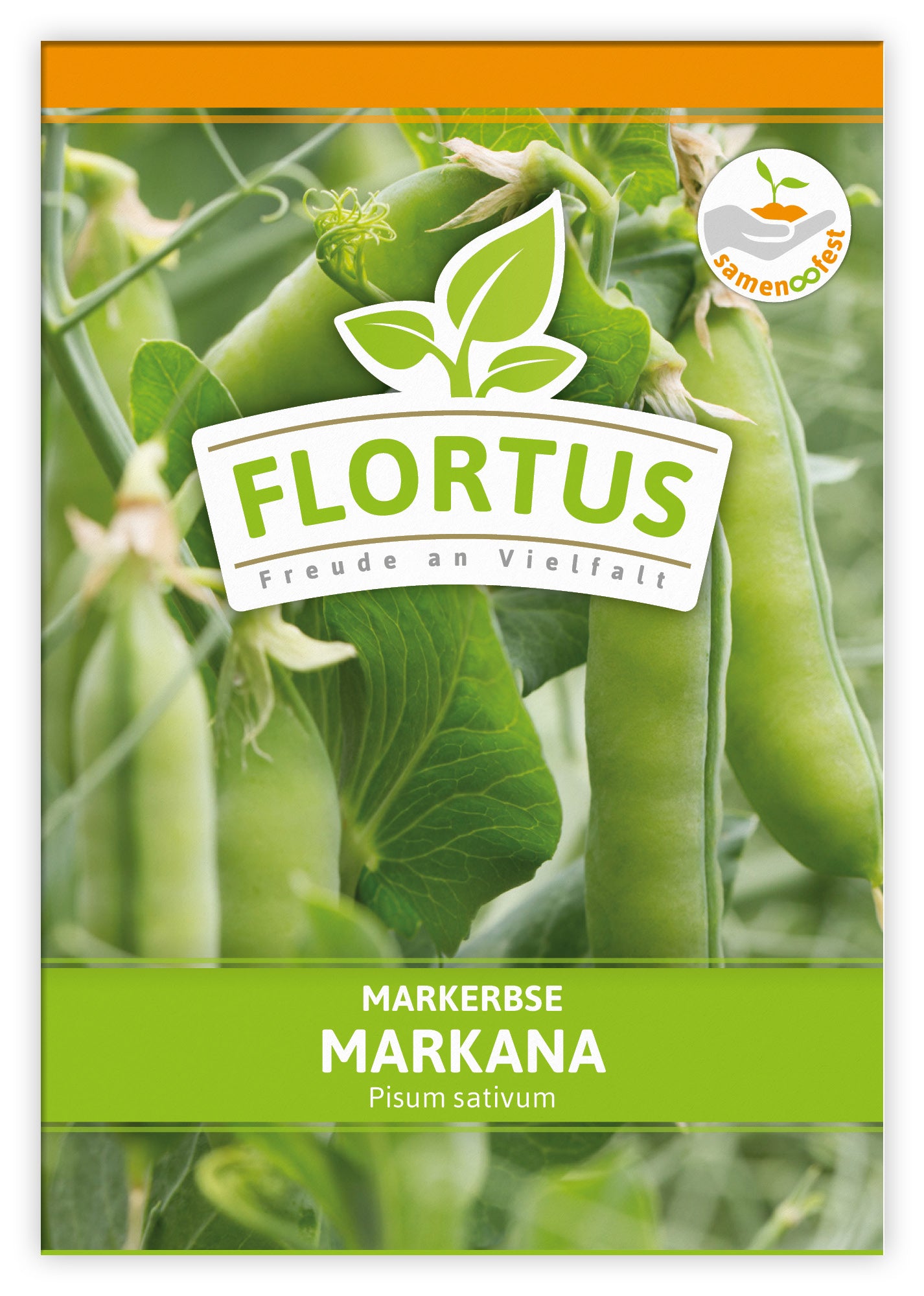  Markerbse Markana (100 Stück)