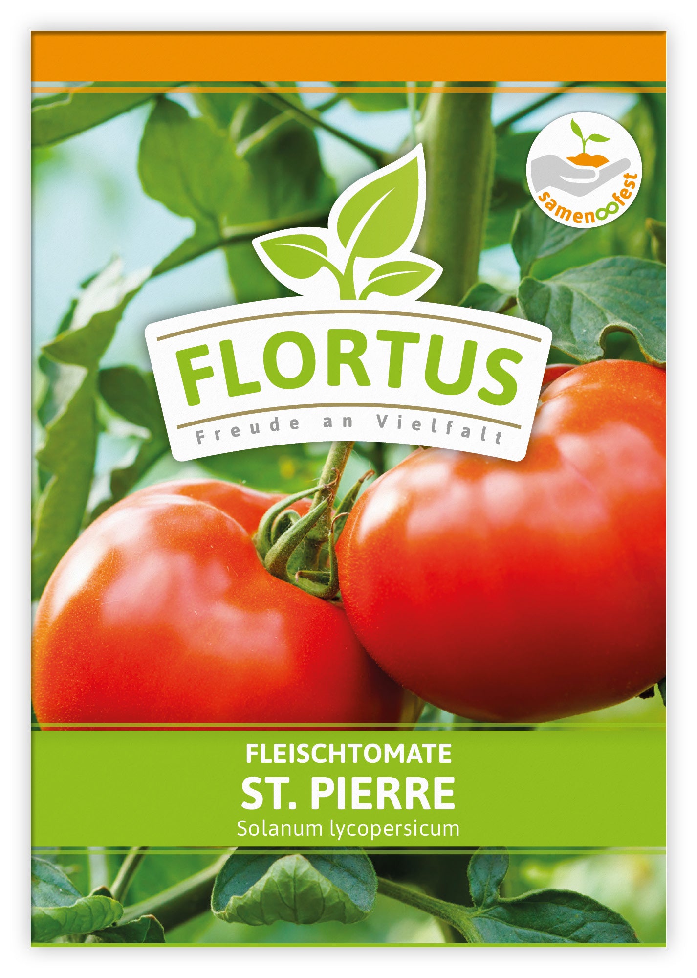  Fleischtomate St. Pierre (100 Stück)