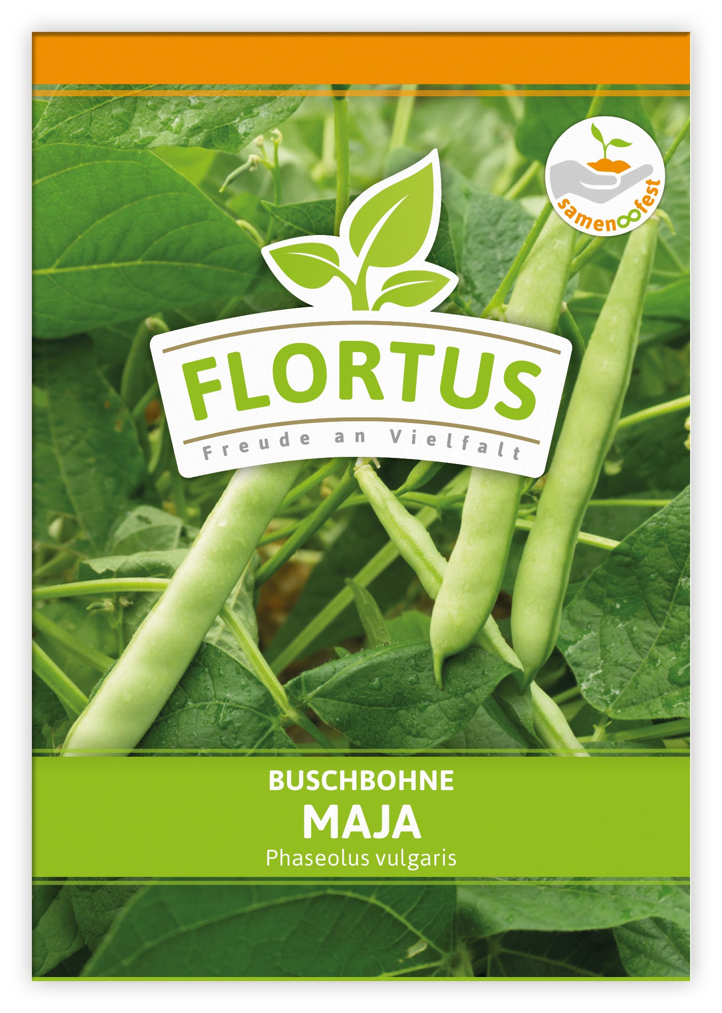  Buschbohne Maja (100 Stück)