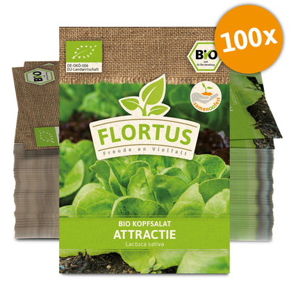 BIO Kopfsalat Attractie (100 Stück)