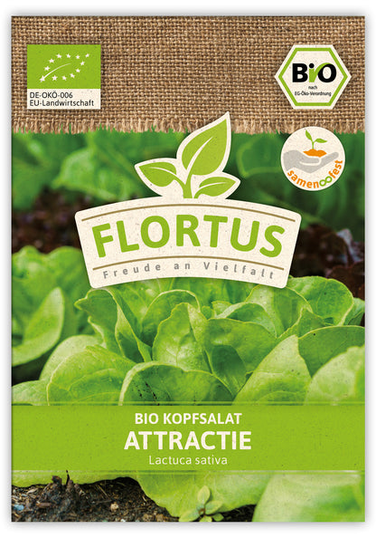  BIO Kopfsalat Attractie (100 Stück)