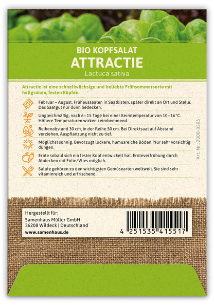  BIO Kopfsalat Attractie (100 Stück)