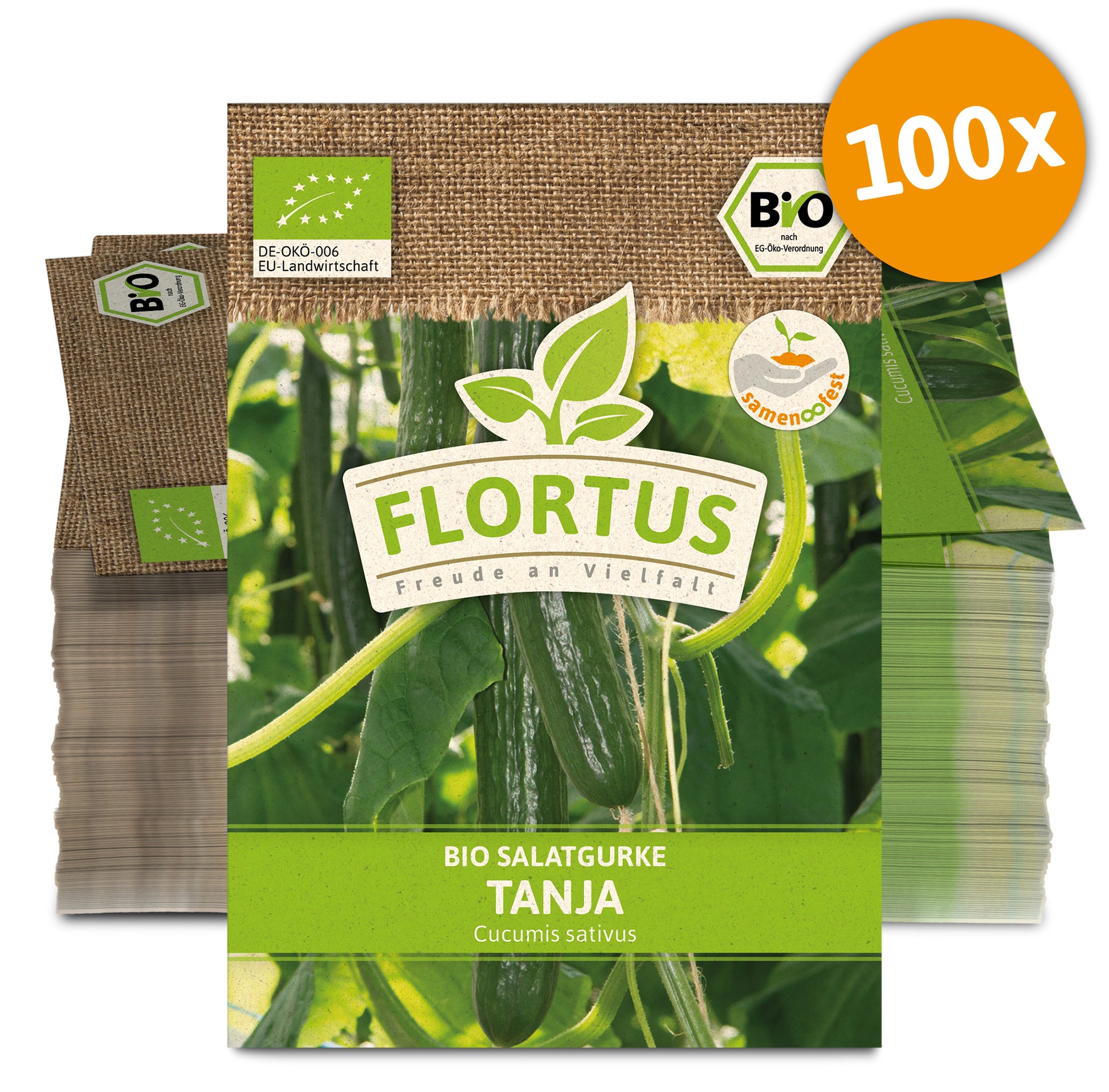  BIO Salatgurke Tanja (100 Stück)