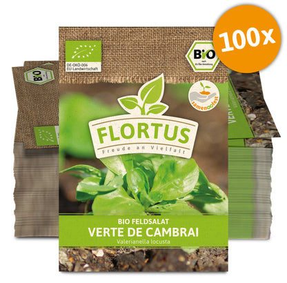  BIO Feldsalat Verte De Cambrai (100 Stück)