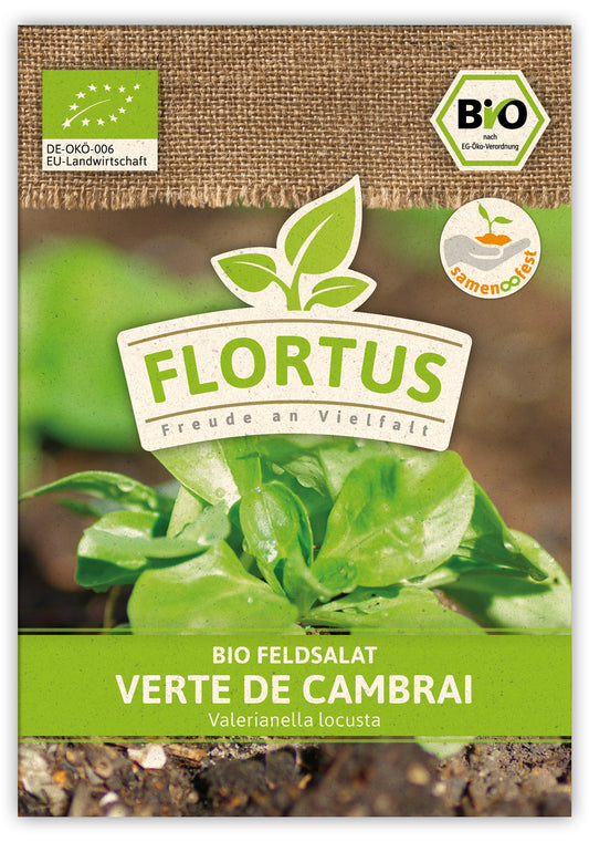  BIO Feldsalat Verte De Cambrai (100 Stück)