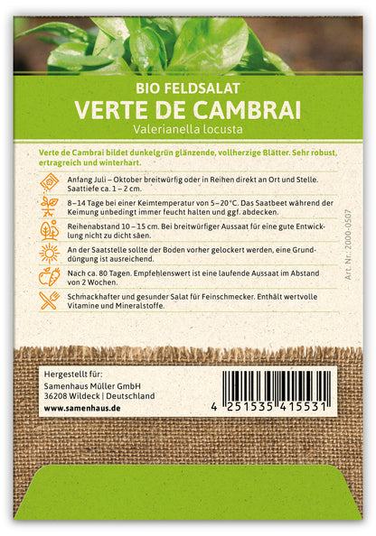  BIO Feldsalat Verte De Cambrai (100 Stück)