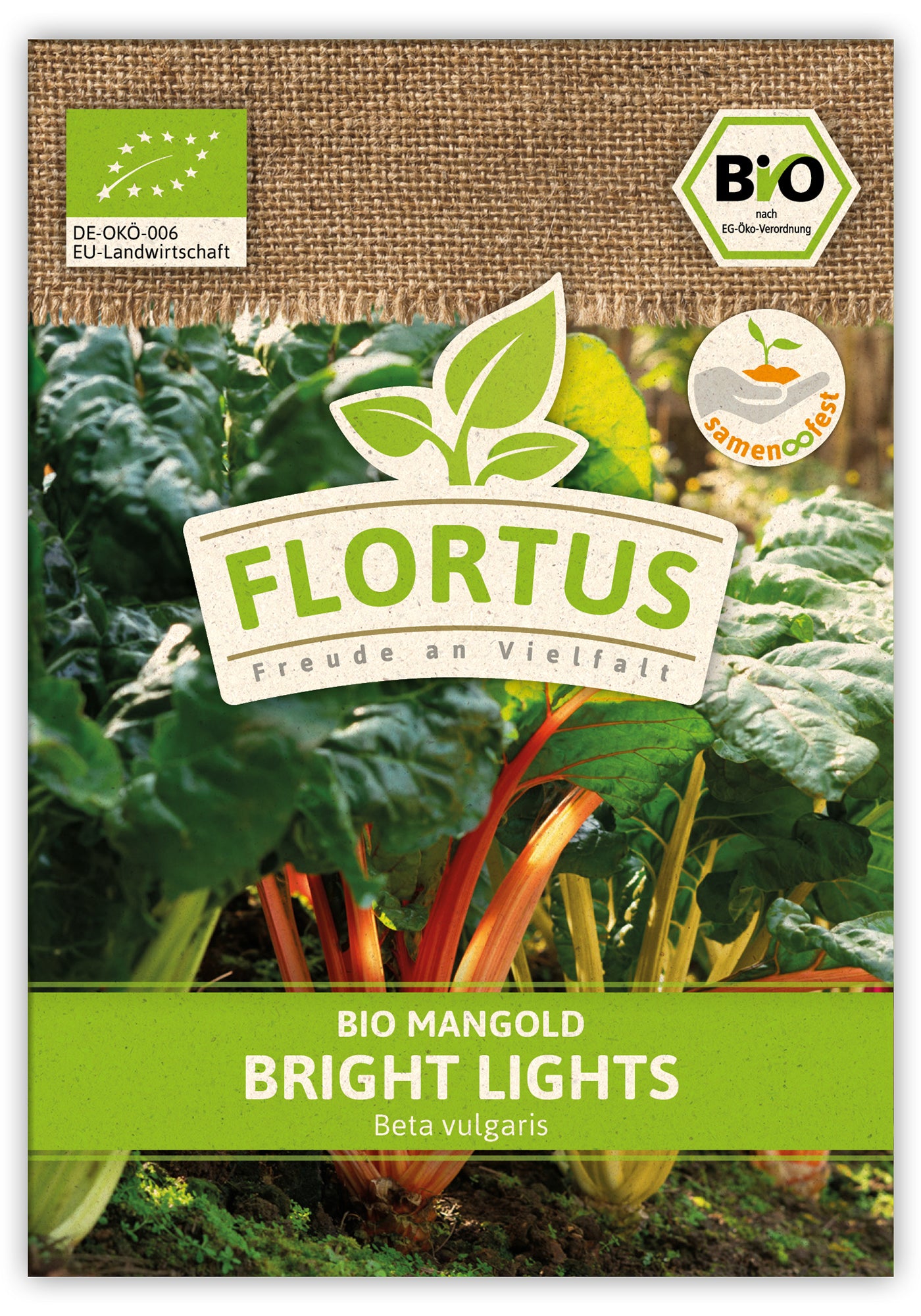  BIO Mangold Bright Lights (100 Stück)