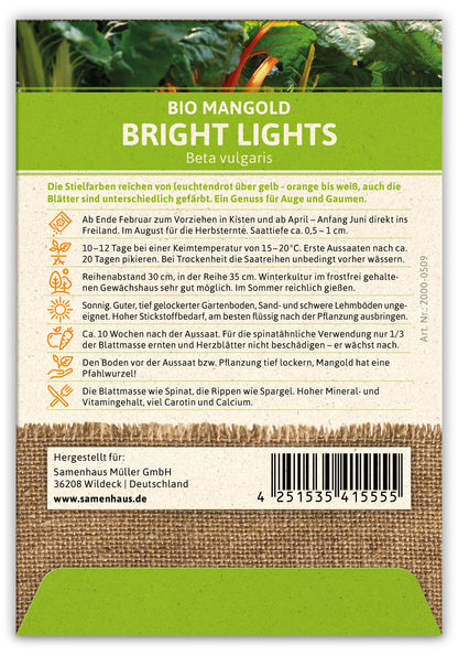  BIO Mangold Bright Lights (100 Stück)