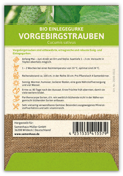  BIO Einlegegurke Vorgebirgstrauben (100 Stück)