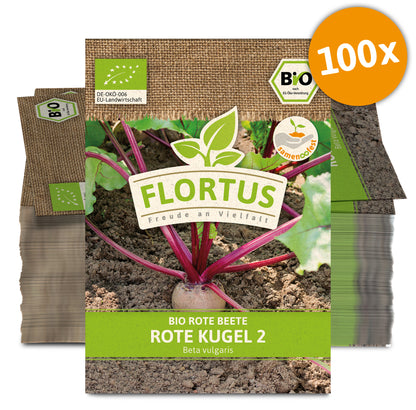  BIO Rote Beete Rote Kugel 2 (100 Stück)