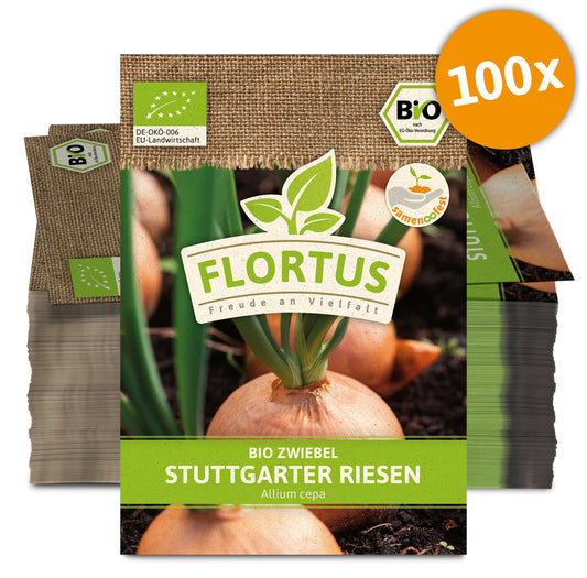  BIO Zwiebel Stuttgarter Riesen (100 Stück)