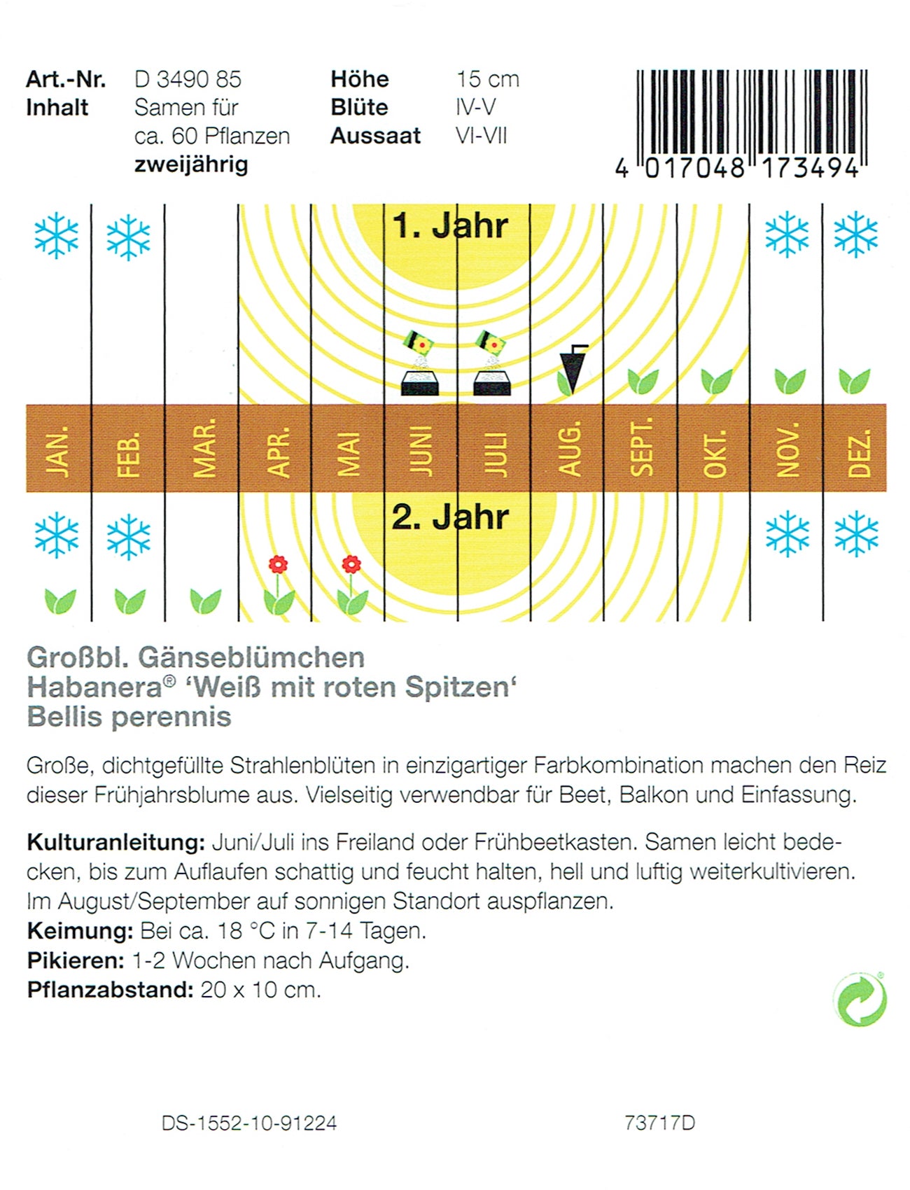 Gänseblümchen Habanera Weiß Mit Roten Spitzen