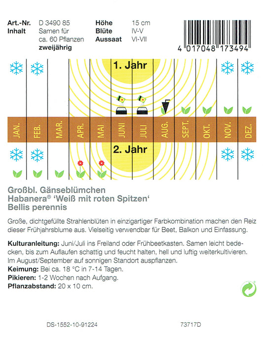  Gänseblümchen Habanera Weiß Mit Roten Spitzen