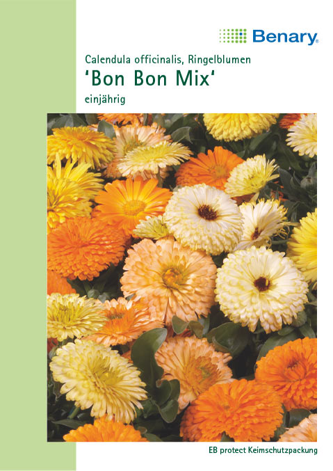  Ringelblume Bon Bon Mix