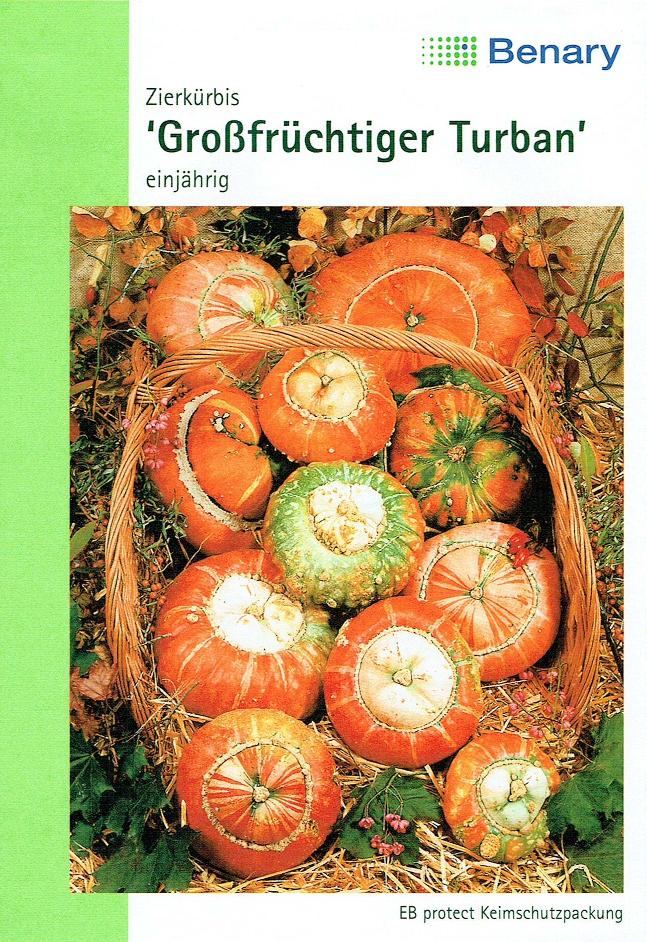  Zierkürbis Großfrüchtiger Turban