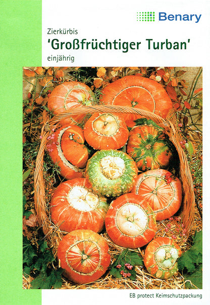  Zierkürbis Großfrüchtiger Turban