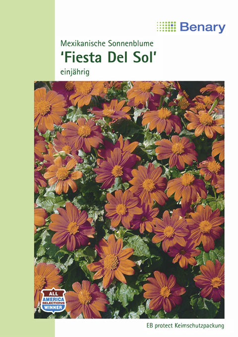  Mexikanische Sonnenblume Fiesta Del Sol