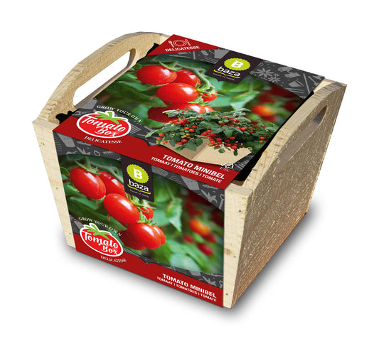  Tomatenbox Minibel [MHD 12/2025]