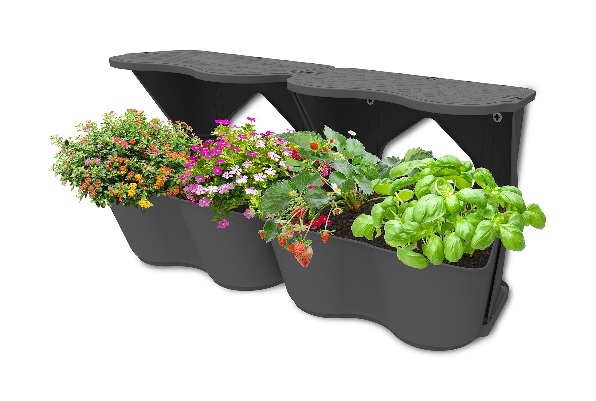  BoQube Flexi Garden Anthrazit