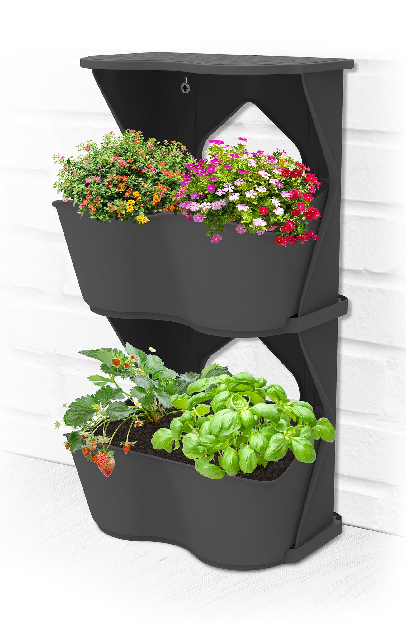  BoQube Flexi Garden Anthrazit