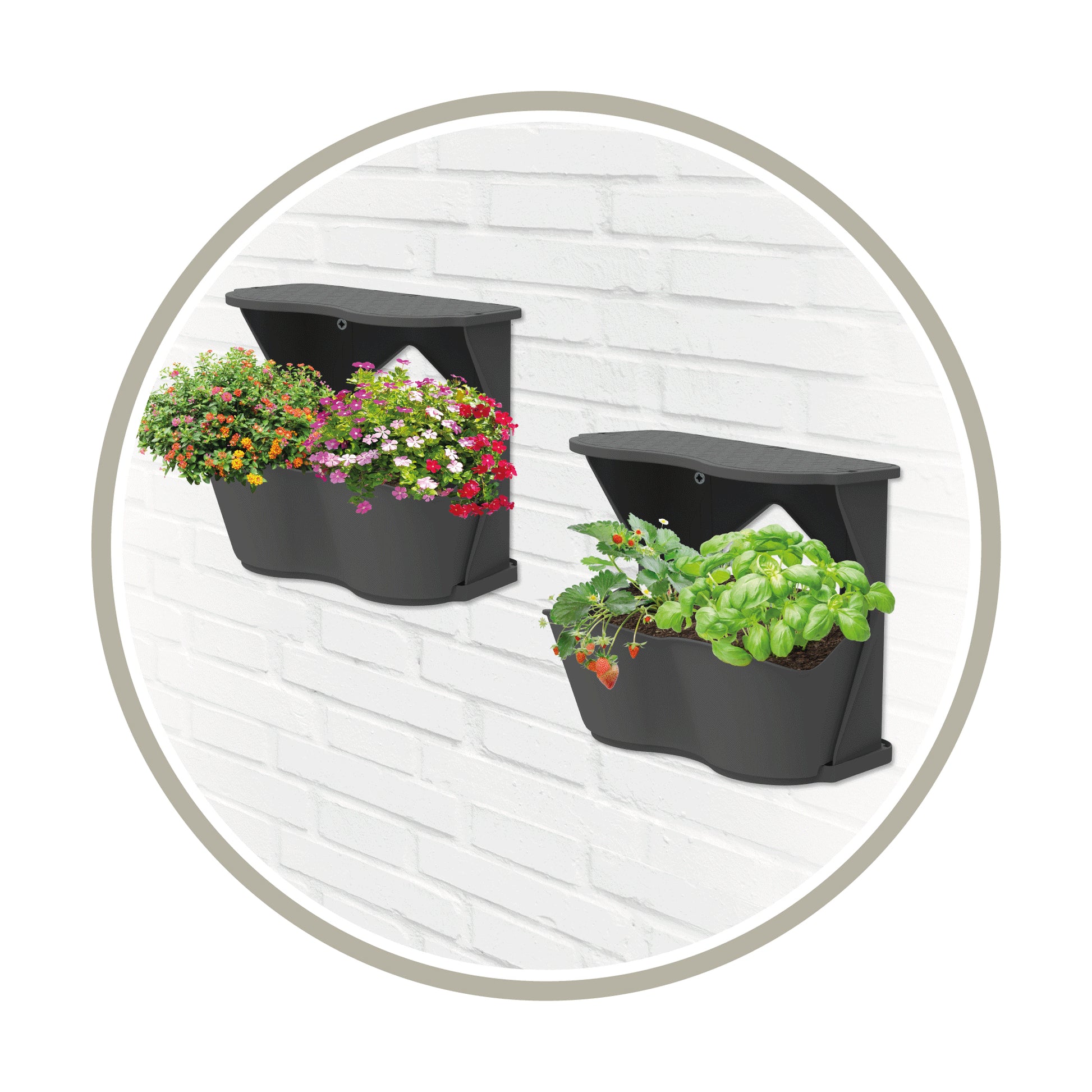  BoQube Flexi Garden Anthrazit