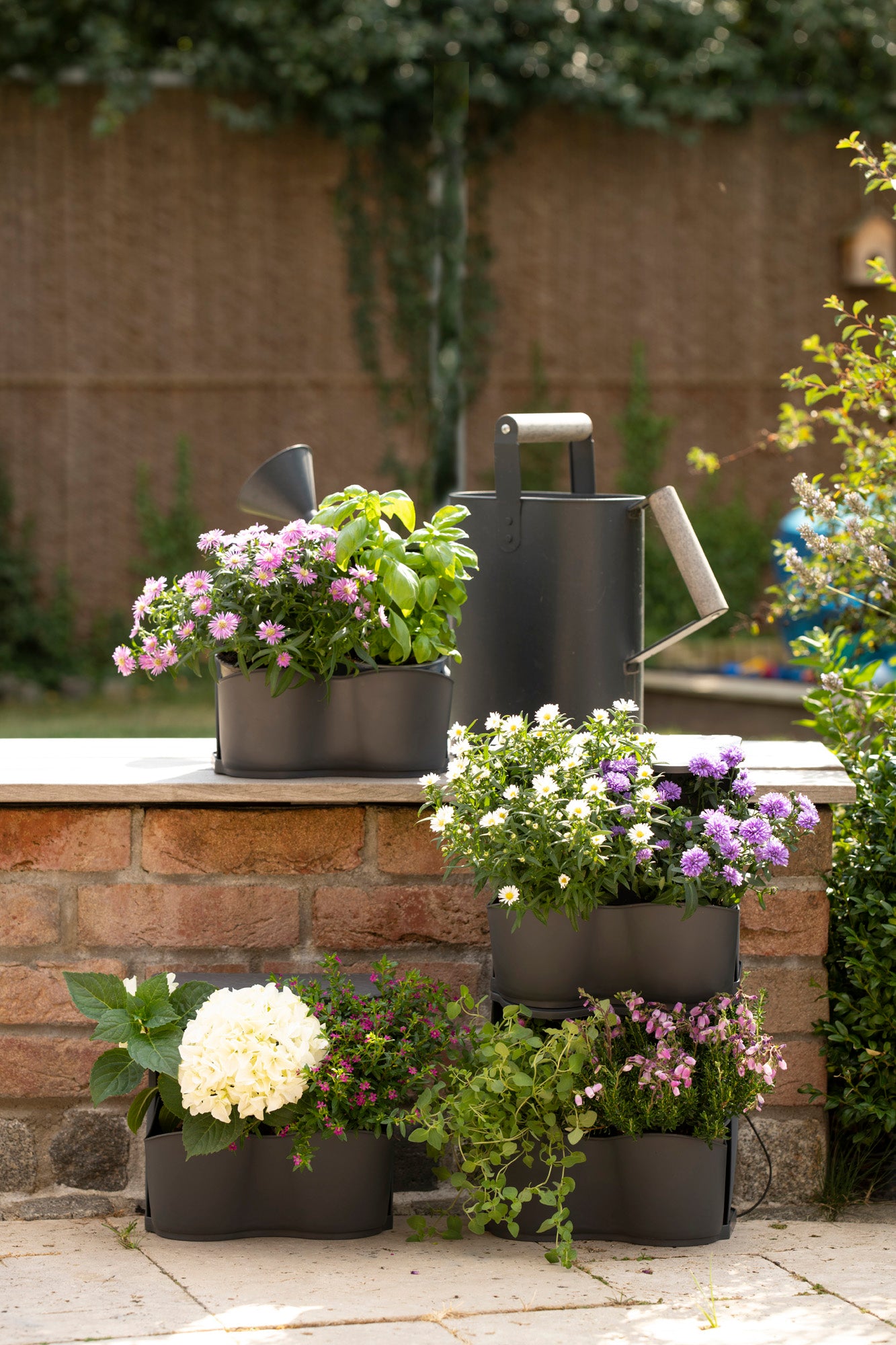  BoQube Flexi Garden Anthrazit